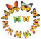 jojofuny 24 Stück 3D Schmetterling 3D Wandaufkleber Schmetterlinge Wandaufkleber Party Schmetterlingsaufkleber Beadroom 3D Wandbild Libelle Wanddekoration Wohnzimmer