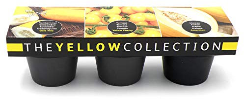 Set de semences en céramique pour légumes jaunes, tomates, melons, concombres, 3 pots en céramique