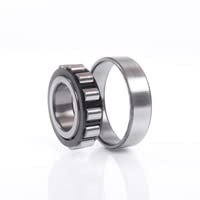 N1006-D-K-TVP-SP-XL FAG roulements à rouleaux cylindriques Roller Bearing 30,00 x 55,00 x 13,00 mm