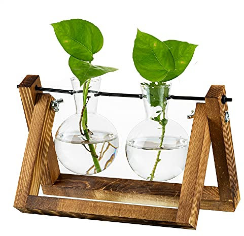 Estación De Propagación para Plantas, Macetero con Bombilla De Actualización con Soporte De Madera, Maceta De Vidrio, Interior para Decoración De Mesa, Centro De Mesa, Accesorios