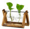 Station De Propagation pour Plantes Amélioration De La Jardinière De Vase À Ampoule avec Support en Bois Pot De Plante en Verre Intérieur pour La Décoration De La Pièce Maîtresse De Table Accessoires