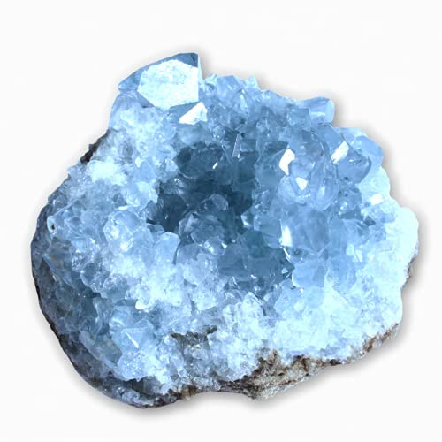 Steinfixx® - Premium Coelestin Kristall I Celestine | Celestit | Edelstein I Heilstein I Cluster I funkelnder Blickfang I Madagaskar (50-100 gr.)