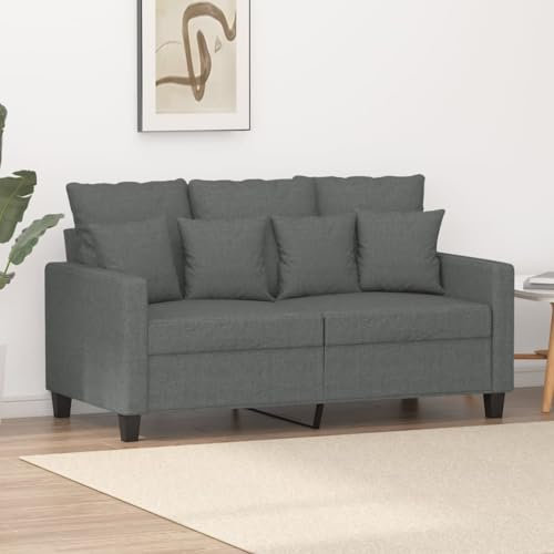 SECOLI 2-Sitzer Sofa Stoff Couch Klein für Wohnzimmer/Schlafzimmer/Büro/Wohnung - Dunkelgrau - 120cm