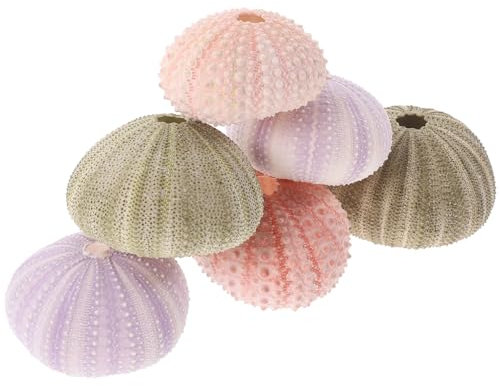 Ipetboom 6 ciotole per ricci di mare, mini ciotole da appendere, riccio di mare, decorazione per la casa, conchiglie, decorazione per la casa, ananas, fioriera, contenitore succoso