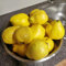 300 pcs quittenbaum winterhart samen, winterharte stauden, garten pflanzen quittenbaum kaufen - Cydonia oblonga - winterharte pflanzen für balkon, balkongarten obstbäume kaufen, ostergeschenke