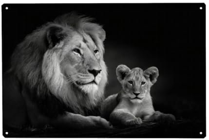 artboxONE Metall-Poster 40x60 cm Tiere Löwenvater von Künstler Uwe Merkel