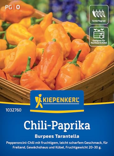 Kiepenkerl Chili-Paprikasamen Burpees Tarantella 1032760, Gemüsesaat | Pepperoncini- Chili, leicht scharf, Wuchshöhe 60-80 cm, aromatisch, für Hochbeet, Freiland & Gewächshaus
