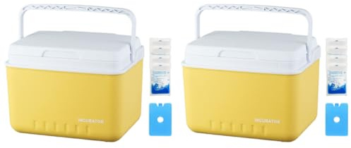 LYEAA 6L Isolierte Kühlbox für Camping Strand Angeln und Outdoor Tragbare Eistruhe Kühlbox