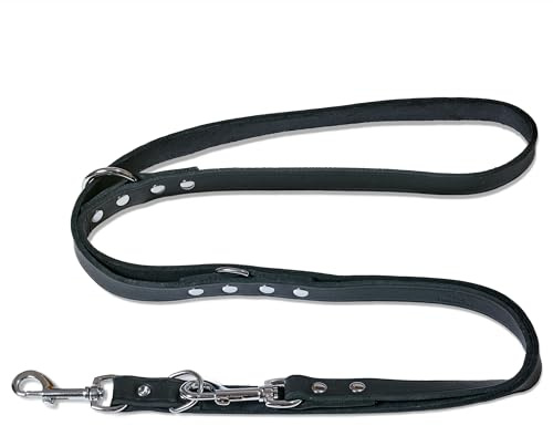 FREUDENTIER Hundeleine Leder 2m - Lederleine verstellbar - Führleine aus zertifiziertem Fettleder für kleine, mittelgroße & große Hunde - Alsterufer Kollektion (Midnight, 12mm breit)