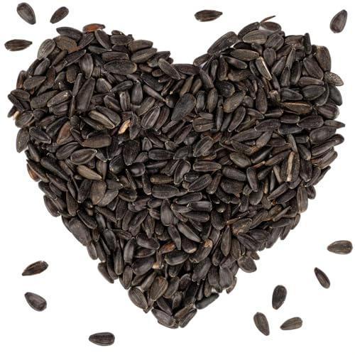 Lyra Pet® | 20 kg Schwarze Sonnenblumenkerne | HK Bulgarien | Ganzjähriges Wildvogelfutter | Hochwertiges Streufutter für Wildvögel | Fettreicher Gourmetsnack | Energie für Alle Körnerfresser | Ganzjähriges Wildvogelfutter - Ideal für kleine Vögel - Mit höchstem Ölgehalt - Spendet Energie im Sommer und Winter