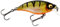 Westin Hardbait zum Spinnfischen auf Barsche & Forellen 5cm 6g BuzzBite SR Crankbait Low Floating, Farbe:Bling Perch