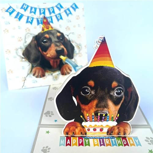 Momapopup 3D-Pop-Up-Karte mit schwarzem Dackel-Motiv, niedlicher Hund mit Kuchenfeier, skurriler Happy Birthday Gruß für Hundeliebhaber, schwarzer Dackel, 3D-Geburtstagskarte, Pop-Up-Karte