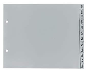 Original Falken PP Kunststoff-RegisterFür DIN A4 22,5 x 21 cm halbe Höhe Druck Jan.-Dez. 12 Blatt grau Ringbuch Ordner Plastikregister ideal für Büro und Schule