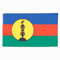 AZ FLAG - Drapeau Nouvelle Calédonie - 90x60 cm - Drapeau Kanak 100% Polyester Avec Oeillets Métalliques Intégrés - Pavillon 50 g
