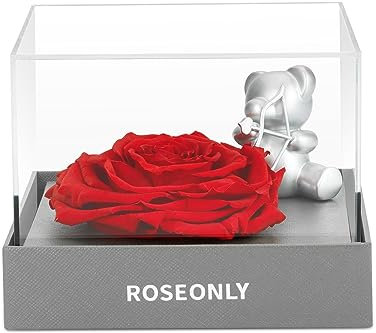 roseonly. Ewige Rose mit Amor, Konservierte Rosen, Infinity Rosenbox, Geschenke für Frauen zum Geburtstag, Valentinstag, Weihnacht, Hochzeitstag, Jubiläum