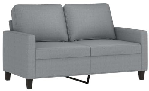 vidaXL Sofa 2-Sitzer, Loungesofa Couch mit Armlehnen Rückenkissen, Wohnzimmersofa Designsofa Metallgestell, Sitzmöbel Zweisitzer, Modern, Hellgrau Stoff