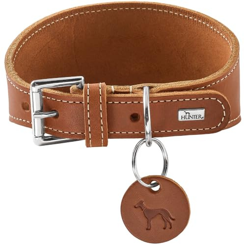 Hunter Windhundhalsband Aalborg Farbe Cognac, Robustes Softleder, ideal für Windhunde, druckverteilendes Design, Kehlkopfschonend, Made in Germany, Größe 32