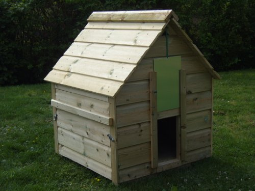Campbell Duck House, up to 6 ducks, poultry coop, wooden waterfowl shed from Buttercup Farm