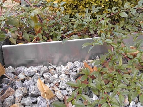 Rasenkante 1 m verzinkt Beeteinfassung Beetumrandung Mähkante Metall Palisade neu