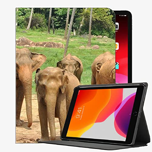 Caso Inteligente para el iPad Air 2, Animals Elephant Sturdy Style27 Case Slim Shell Cover para iPad Air2 9.7 Pulgadas