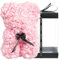 NWSX Rosenbär - Rose Teddybär auf jedem Rosenbären - Blumenbär Perfekt für Jubiläen, Mütter - Klare Geschenkbox inklusive! 10 Zoll groß (Light pink, 10in)