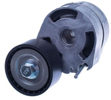 DENCKERMANN P416011 Tenditore cinghia servizi Tendicinghia cinghia Poly-V