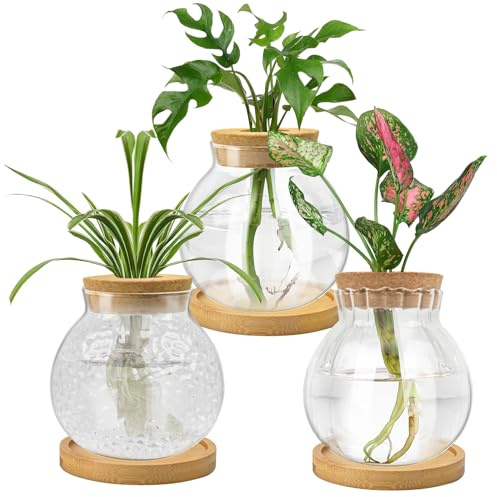 Handbanary Plant Propagation Jars, Terrarium Desktop Glass Planter Station Water Planting Glass Vase with Tray & Wooden Saucer, Hydroponics Plants Home Office Desktop Decor, 3 Pcs