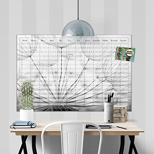 banjado® Wandkalender abwischbar aus Glas 90x60 cm/Jahresplaner abwischbar mit Motiv Pusteblume Makro/langlebiger Jahreskalender, Urlaubsplaner & Familienplaner abwischbar