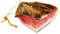 Speck aus Südtirol - 1/6 Hamme 500g - 6 Monate gereift- Spezialität von Viktor Kofler/Lana