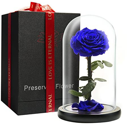 LOVAPPY Preserved Forever Rose in Glass Dome - Beauty and the Beast Romantic Gifts for Her - Eternal Rose Preserved Flowers - Preserved Rose Mother Gifts - Mum Birthday Gifts for women (Blue, 23 cm)