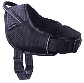 Rogz Airtech Sport-Hundegeschirr, Nightsky Schwarz, Größe M/L, 50-63 cm, Brustweite verstellbar