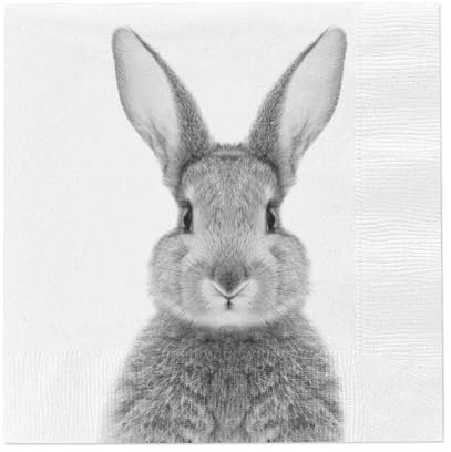 MC-Trend 40 Stück stilvolle Osterservietten mit bezauberndem Hasenmotiv – die perfekte Serviette für Ihre Ostern-Feierlichkeiten, um den Osterhasen stilvoll zu feiern!