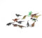 Abaodam 36stücke Teiliges Set Realistische Dinosaurier Und Tierfiguren Für Junge Mädchen Für Partys Spiel Und Sammlung Fördert Kreativität Und Naturverständnis