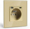 BSEED Prise Murale avec USB et 1 Type C,16A Prise de Courant Alternatif avec Panneau en Verre,Multiprise Murale Max 2.1A,Convient au Smartphone, à la Tablette (1 Prise avec USB et Type C,Or)