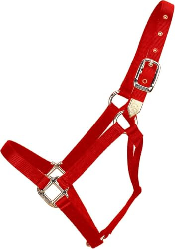 Hamilton Pferdhalfter, 2,5 cm, Nylon