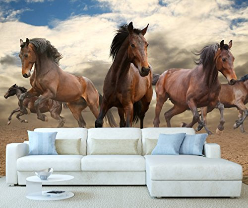 StickersWall Wild Horses Wildlife Animal Nature Wall Mural Photo Wallpaper Picture Self Adhesive 1113 (342cm(W) x 242cm(H))
