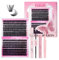Fadlash Kit Pestañas Postizas Individuales 0.07 D 12-18mm 80D+100D DIY Pestañas Kit de Extensión Pestañas de Pegamento y Sellado Pinzas Racimo,Removedor Pegamento Pestañas,Pestañas para Diy en Casa