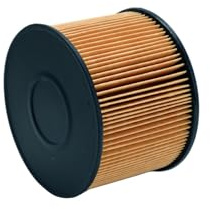 HELLA 8ZF 366 110-191 Kraftstofffilter FF019 - Filtereinsatz | 8ZF 366 110-191 passend für C4 C5 C8 Jumpy Scudo Ulysse