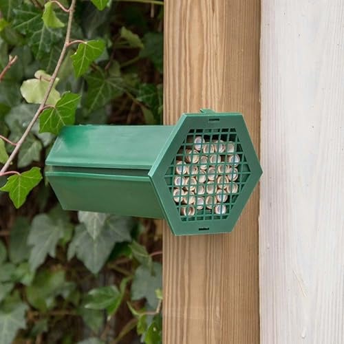 CJ Wildlife Insektenhotel – Bienenhotel, Wildbienenhotel – Kunststoff Grün mit 29 Niströhren, inklusive Befestigungsmaterial und Gebrauchsanweisung