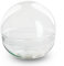 urbanjngl.com - Kugelglas - Glasglocke - Geschlossenes Terrarium ↑ 28 cm