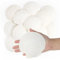 Jangostor 16Pièces Coquillages de pétoncles Coquillages naturels, 10cm - 12cm Blanc coquille de mer petit coquillage pour mariage décoration plage thème fête, réservoir de poissons et vase remplissage