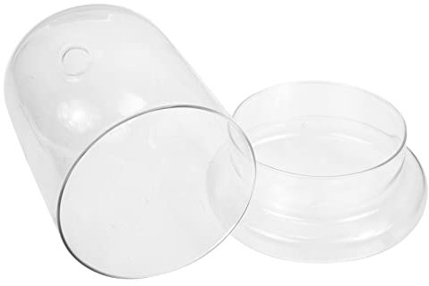 ULDIGI Glass Flower Cover Micro-landscape Container Decorative Bell Home Decor for Mom