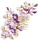 ADOCARN Hochzeits Haarkamm Mit Rhinestone Elegante Blumenhaarnadel Für Bräute Und Brautjungfern Für Hochzeiten Abschlussbälle Und Besondere Anlässe Stabil Und Sanft Im Haar