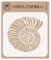 Fossil Shell Schablone 21,59 x 21,59 cm (L) - Jurassic Nautilus Shell Ammonit Fossil Schablonen Schablone zum Malen