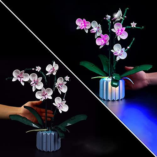 Kit luce per Lego Orchid 10311 (set di luce non incluso)