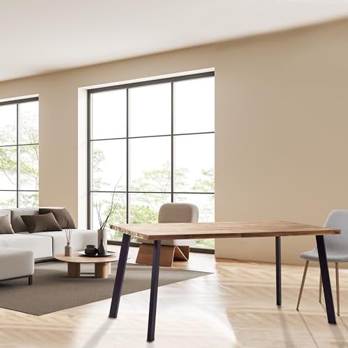 Mottez Pied de table incliné coloris noir mat M599VNO71
