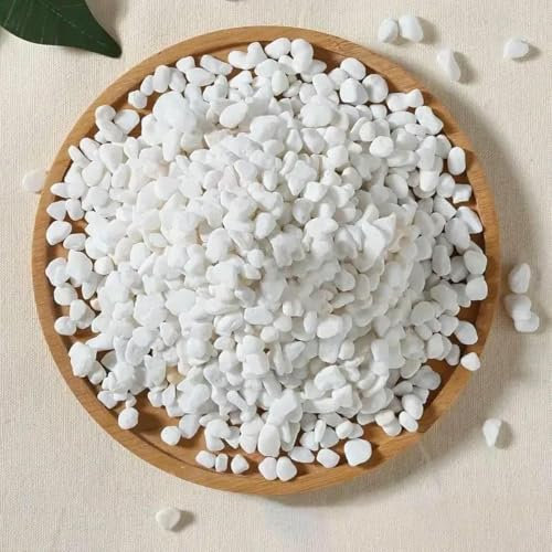 Piedras de río naturales de 200 g para paisajismo de jardín, piedras decorativas blancas para plantas, suculentas y cactus.