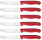 targzier Tomato Knife Red Colour Set of 6, Kitchen Knife Set,Sharp Serrated Kitchen Knives Set,Stainless Steel Utility Knife,Wavy Edge Dinner/Table Knifes,Tomato Knives Set,Ergonomic Handle