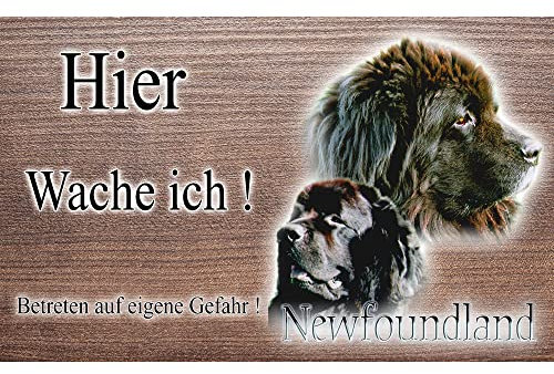 Warnschild Hund oder Warnzeichen Neufundländer 20 cm
