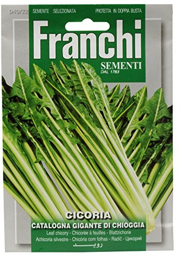 Franchi Chicory Catalogna Gigante Chioggia
